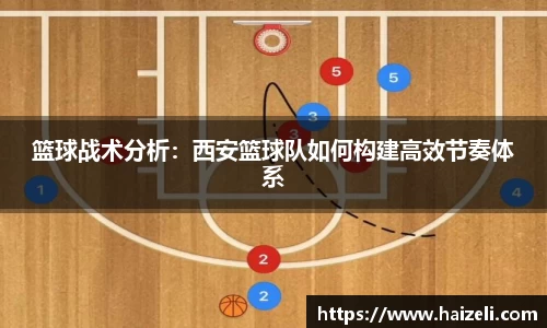 篮球战术分析:西安篮球队如何构建高效节奏体系