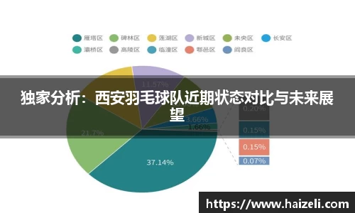 独家分析:西安羽毛球队近期状态对比与未来展望